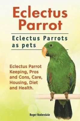 Eclectus Parrot. Eclectus Parrots as pets. Eclectus Parrot Keeping, Pros and Cons, Care, Housing, Diet and Health. av Roger Rodendale