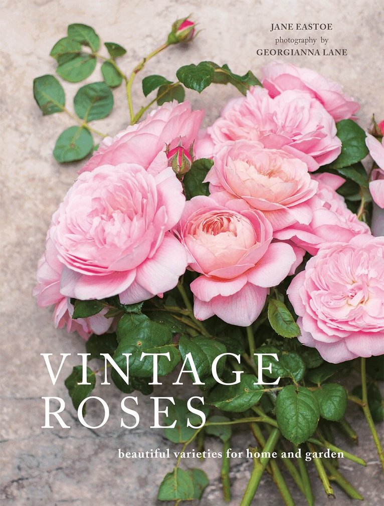 Jane Eastoe - Vintage Roses, E-bok