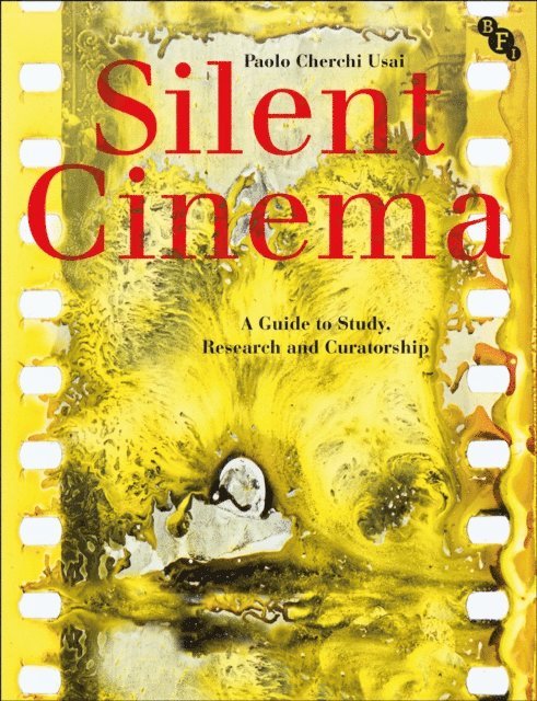 Paolo Cherchi Usai - Silent Cinema, E-bok