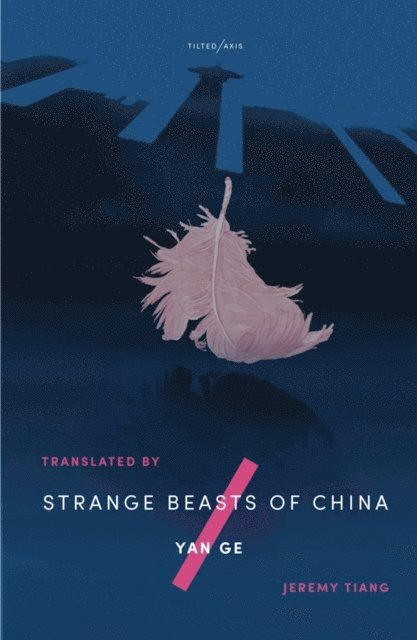 Yan Ge - Strange Beasts of China, E-bok