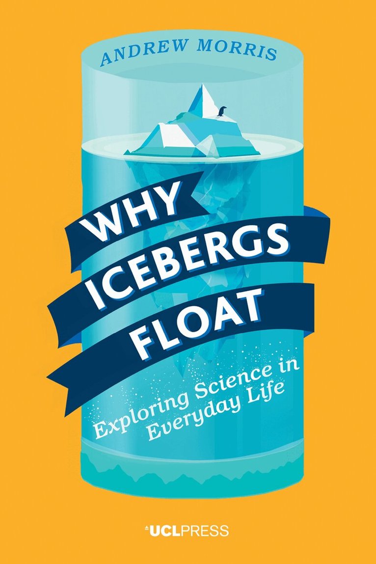 Andrew Morris - Why Icebergs Float, Häftad