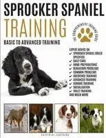 Sprocker Spaniel Training