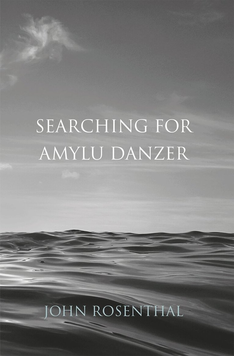 John Rosenthal - Searching for Amylu Danzer, Häftad