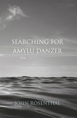 John Rosenthal - Searching for Amylu Danzer, Häftad