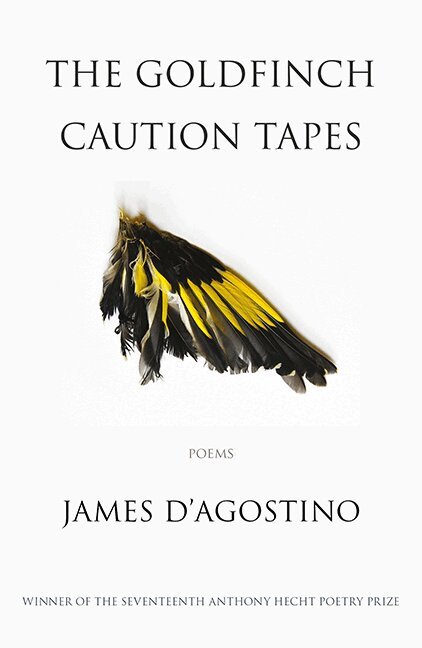 James D'Agostino - Goldfinch Caution Tapes, Häftad