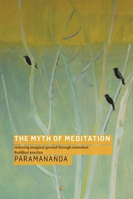 Paramananda - Myth of Meditation, Häftad
