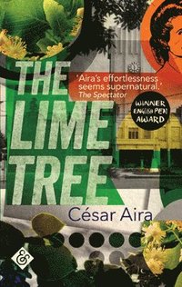 The Lime Tree