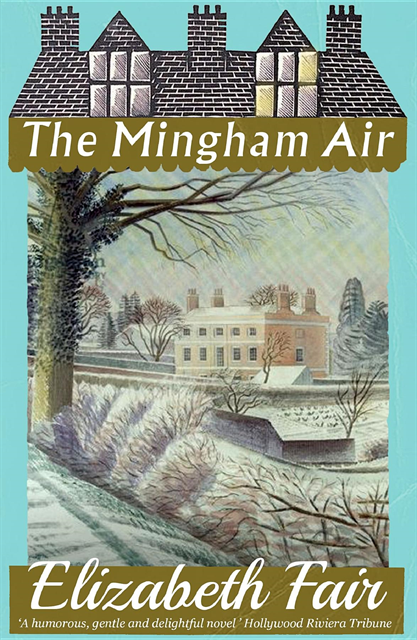 Elizabeth Fair - Mingham Air, E-bok