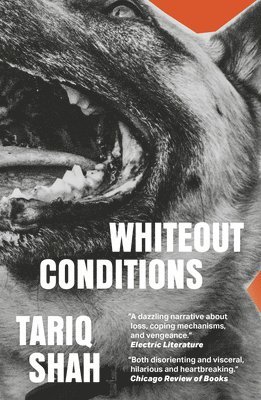 Tariq Shah - Whiteout Conditions, Häftad