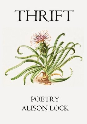 Alison Lock - Thrift, Häftad. Tillgänglighet: Lägg i varukorg