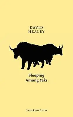 David Healey - Sleeping Among Yaks, Häftad. Tillgänglighet: Lägg i varukorg