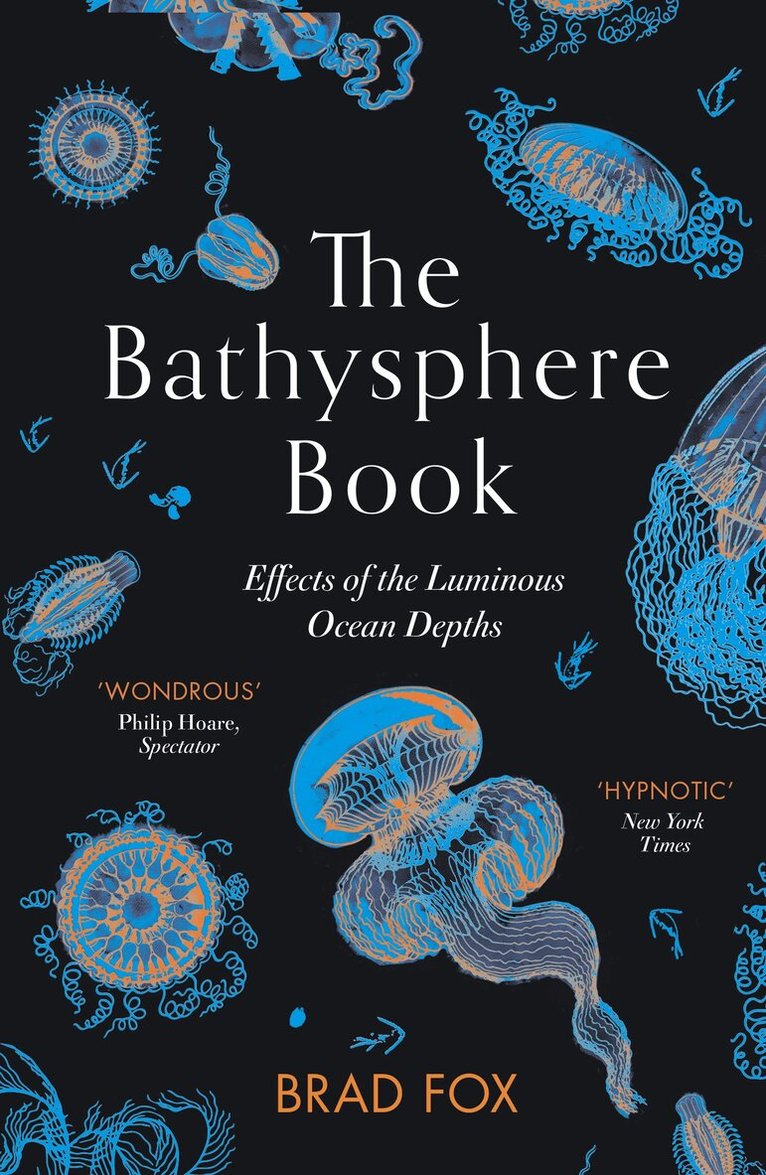 Brad Fox - Bathysphere Book, Häftad