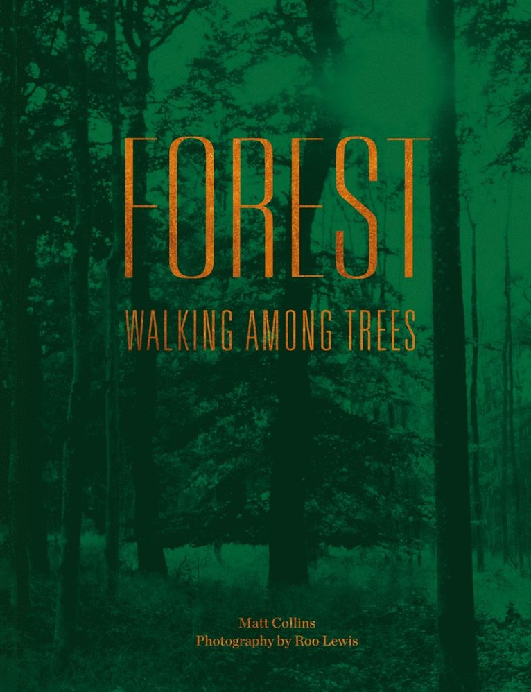 Matt Collins - Forest, Inbunden