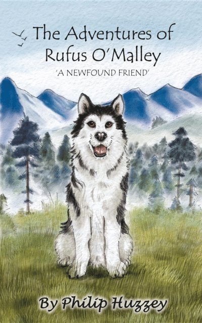 Philip Huzzey - Adventures of Rufus O'Malley - A Newfound Friend, E-bok