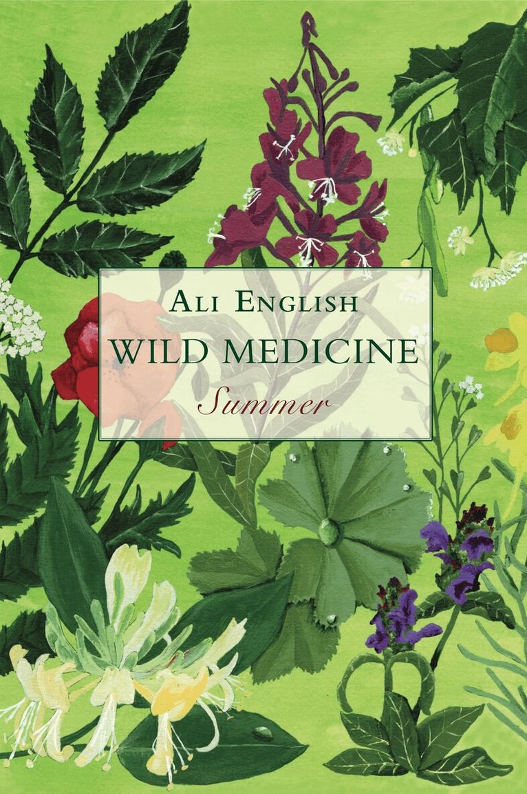Ali English - Wild Medicine, Summer, Häftad