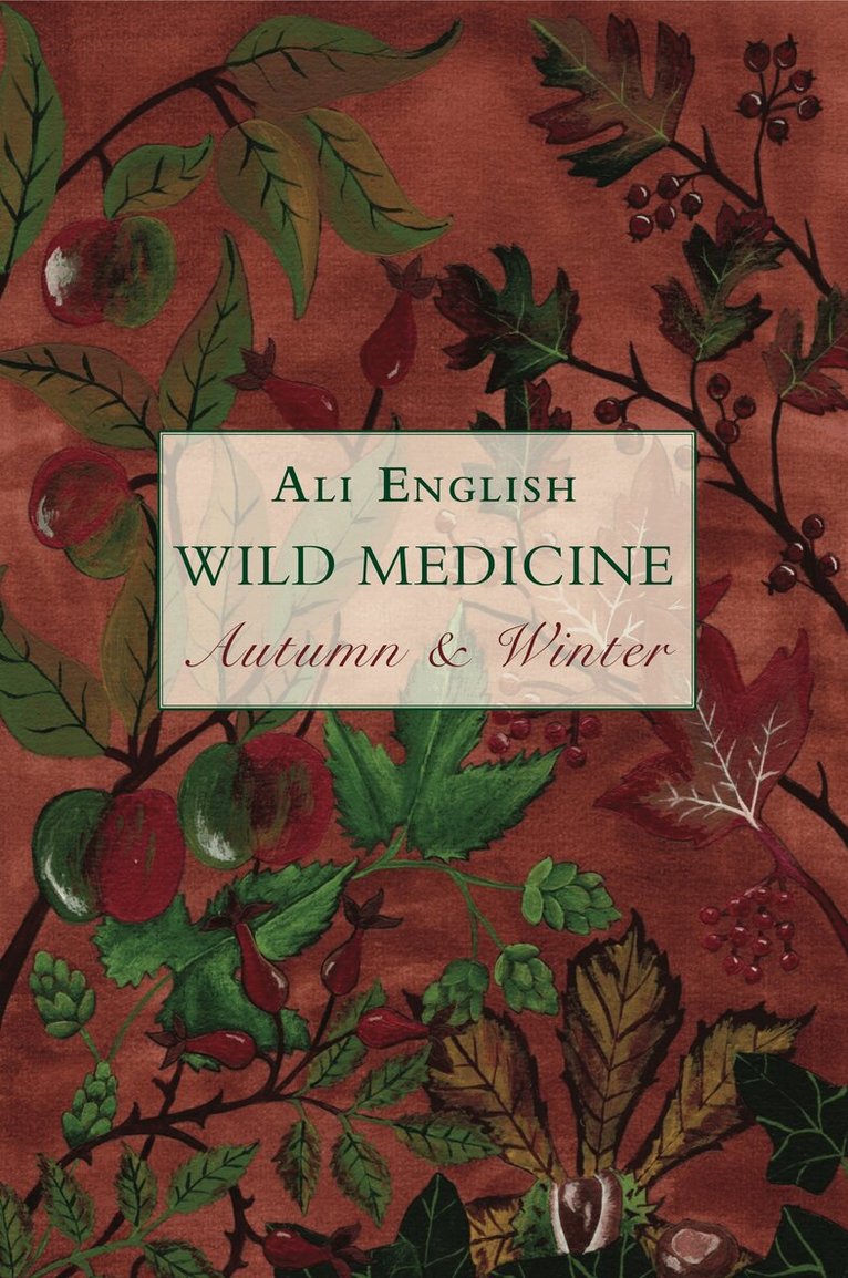 Ali English - Wild Medicine, Autumn and Winter, Häftad