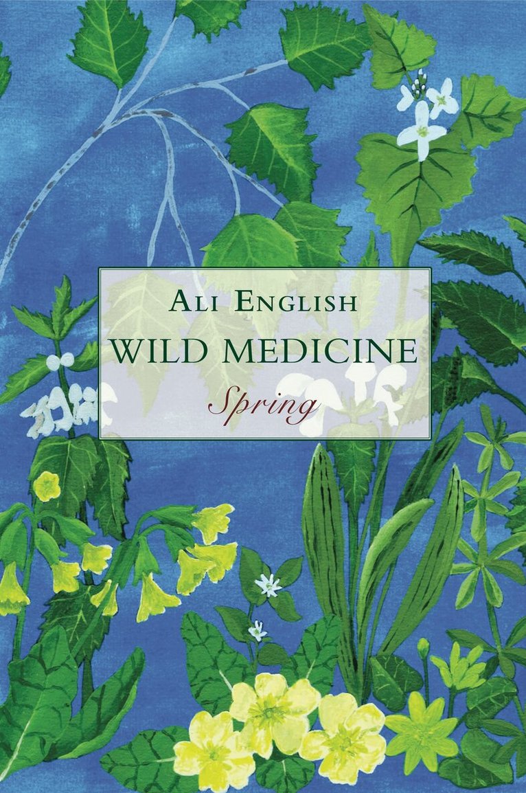 Ali English - Wild Medicine, Spring, Häftad