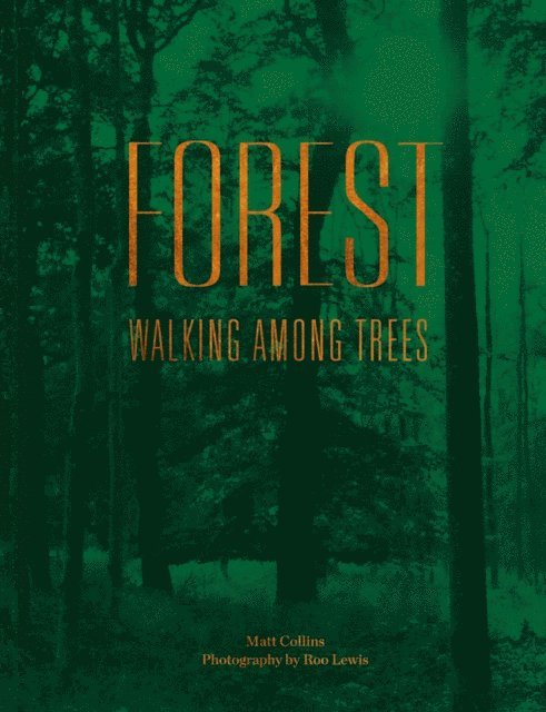 Matt Collins - Forest, E-bok