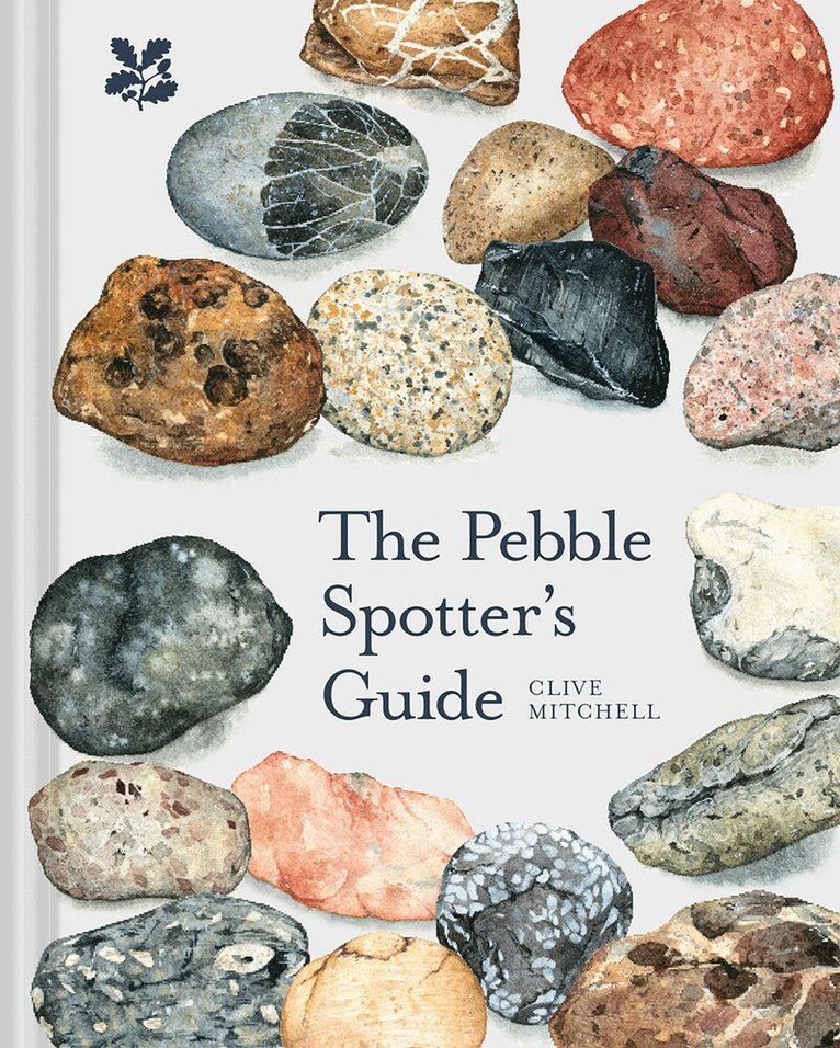 Clive Mitchell, National Trust Books - Pebble Spotter's Guide, E-bok