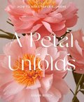 Petal Unfolds: How to Make Paper Flowers