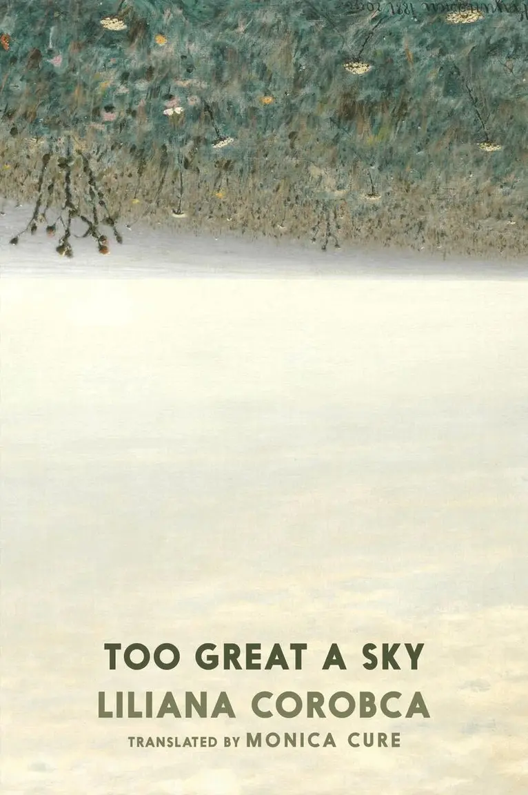 Liliana Corobca - Too Great A Sky, Häftad. Tillgänglighet: Lägg i varukorg