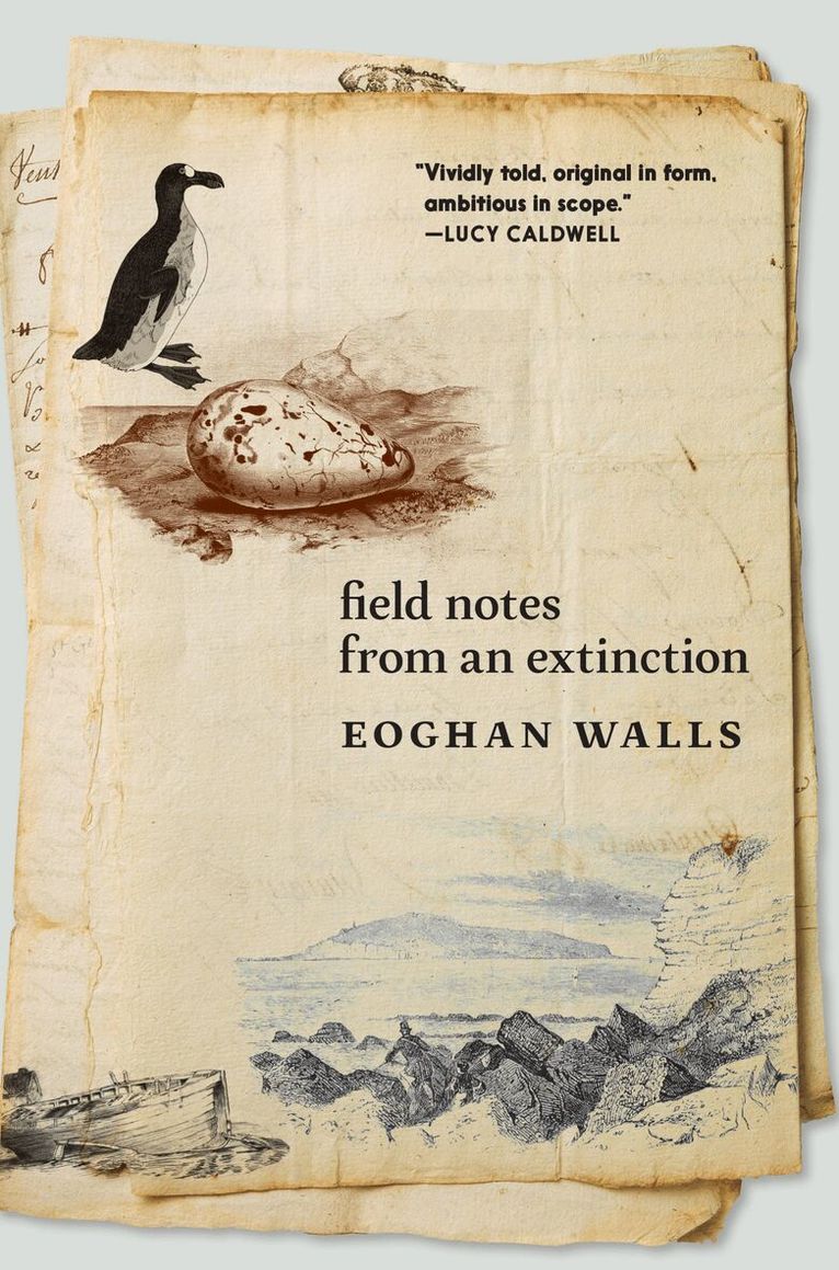 Eoghan Walls - Field Notes from an Extinction, Häftad