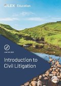 Introduction to Civil Litigation