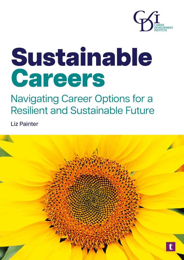 Liz Painter - Sustainable Careers, Häftad