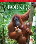 Enchanting Borneo