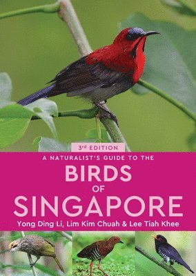 Tiah Ding Li, Yong, Chuah Lim, Kim & Khee Lee - Naturalist's Guide to the Birds of Singapore, Häftad