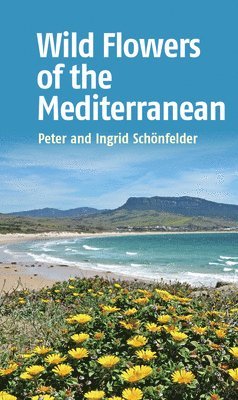 Ingrid Schonfelder - Wild Flowers of the Mediterranean, Häftad