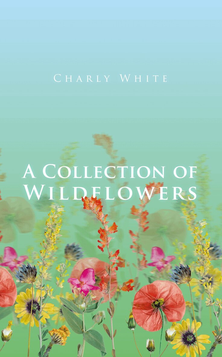 T. S. IDIOT - Collection of Wildflowers, Övrigt
