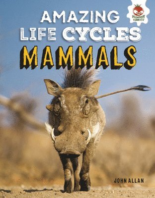 John Allan - Mammals, Inbunden