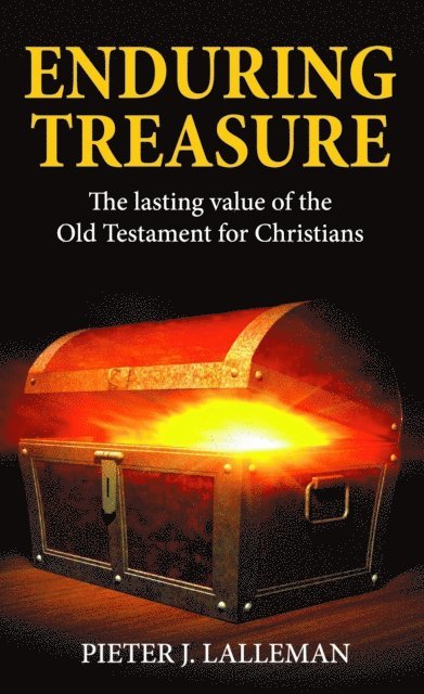 Pieter J Lalleman - Enduring Treasure, E-bok