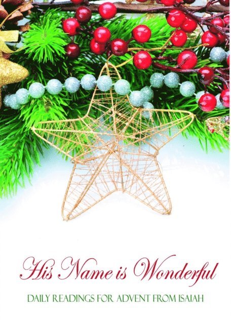 Mathew Bartlett - His Name is Wonderful, E-bok