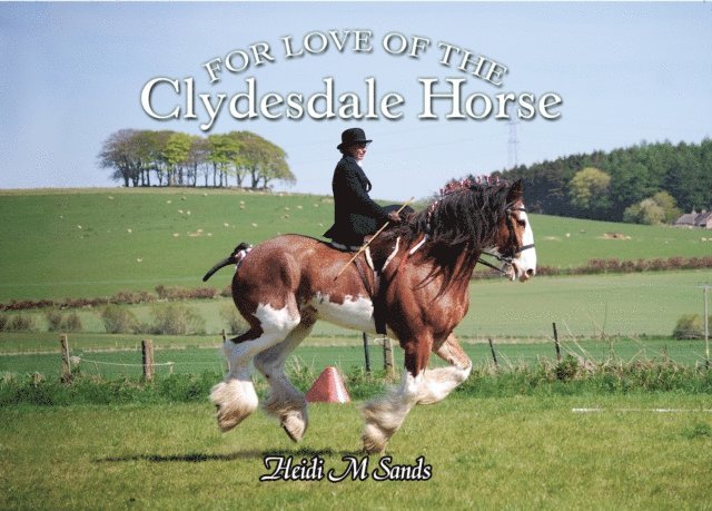 Heidi M. Sands - For Love of the Clydesdale Horse, E-bok