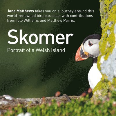Jane Matthews - Skomer - Portrait of a Welsh Island, Inbunden