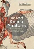 The Art of Animal Anatomy