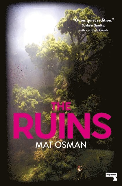 Mat Osman - Ruins, E-bok