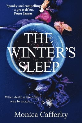 Monica Cafferky - Winter's Sleep, Häftad