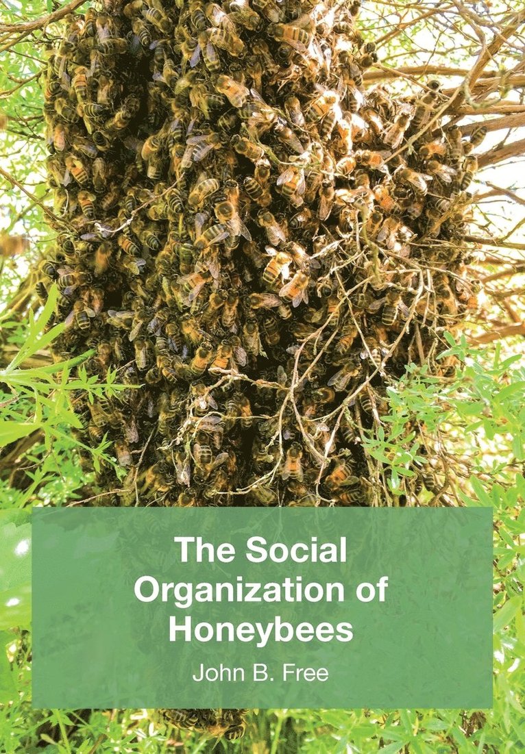 John B Free - Social Organisation of Honeybees, Häftad