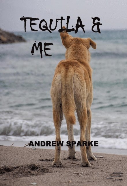 Andrew Sparke - Tequila & Me, E-bok