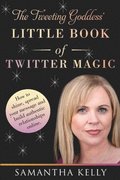 The Tweeting Goddess Little Book of Twitter Magic