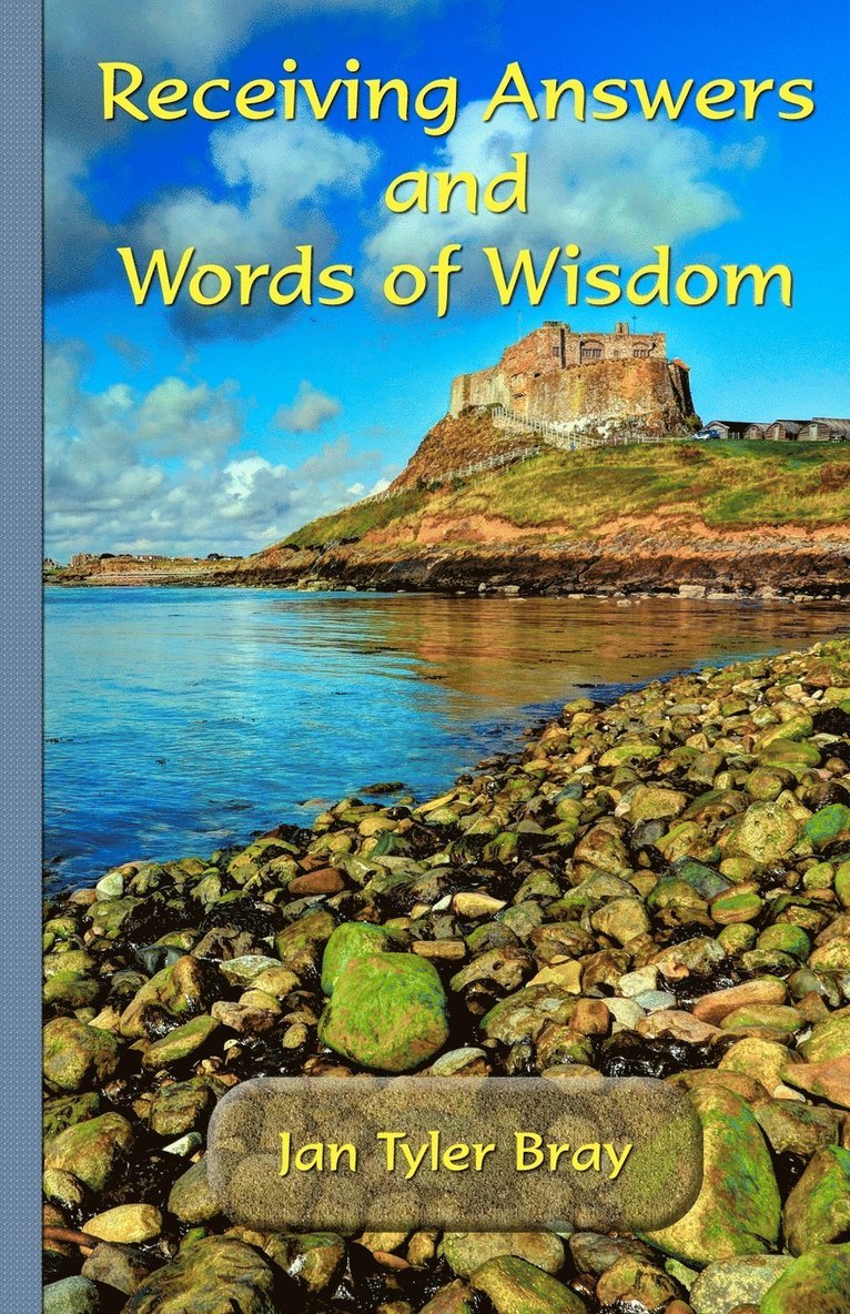 Janice Tyler Bray - Receiving Answers and Words of Wisdom, Häftad