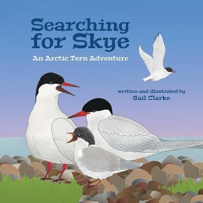 Gail Clarke - Searching For Skye, Häftad. Tillgänglighet: Lägg i varukorg