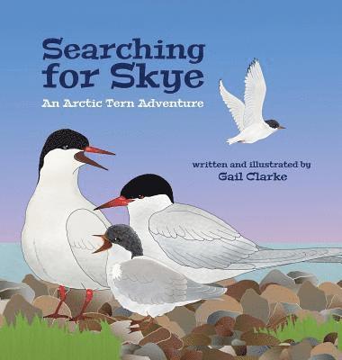 Gail Clarke - Searching for Skye, Inbunden. Tillgänglighet: Lägg i varukorg