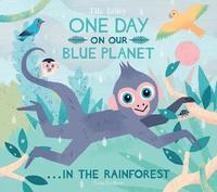 One Day On Our Blue Planet ...In the Rainforest
