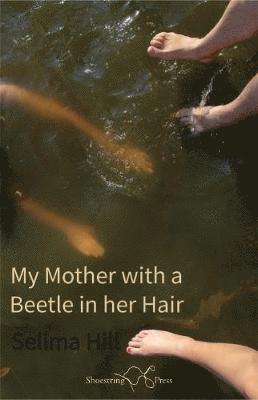 Selima Hill - My Mother with a Beetle in her Hair, Häftad