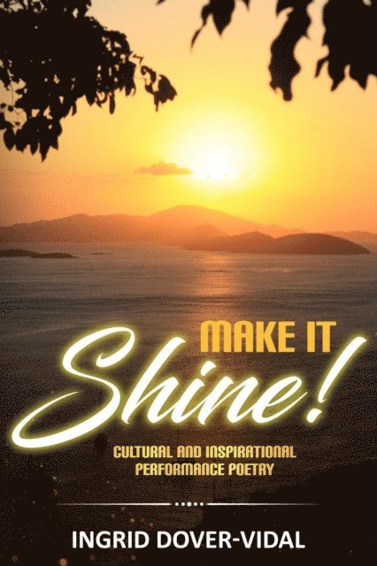 Ingrid Dover-Vidal, Daniella Blechner - Make It Shine!, E-bok