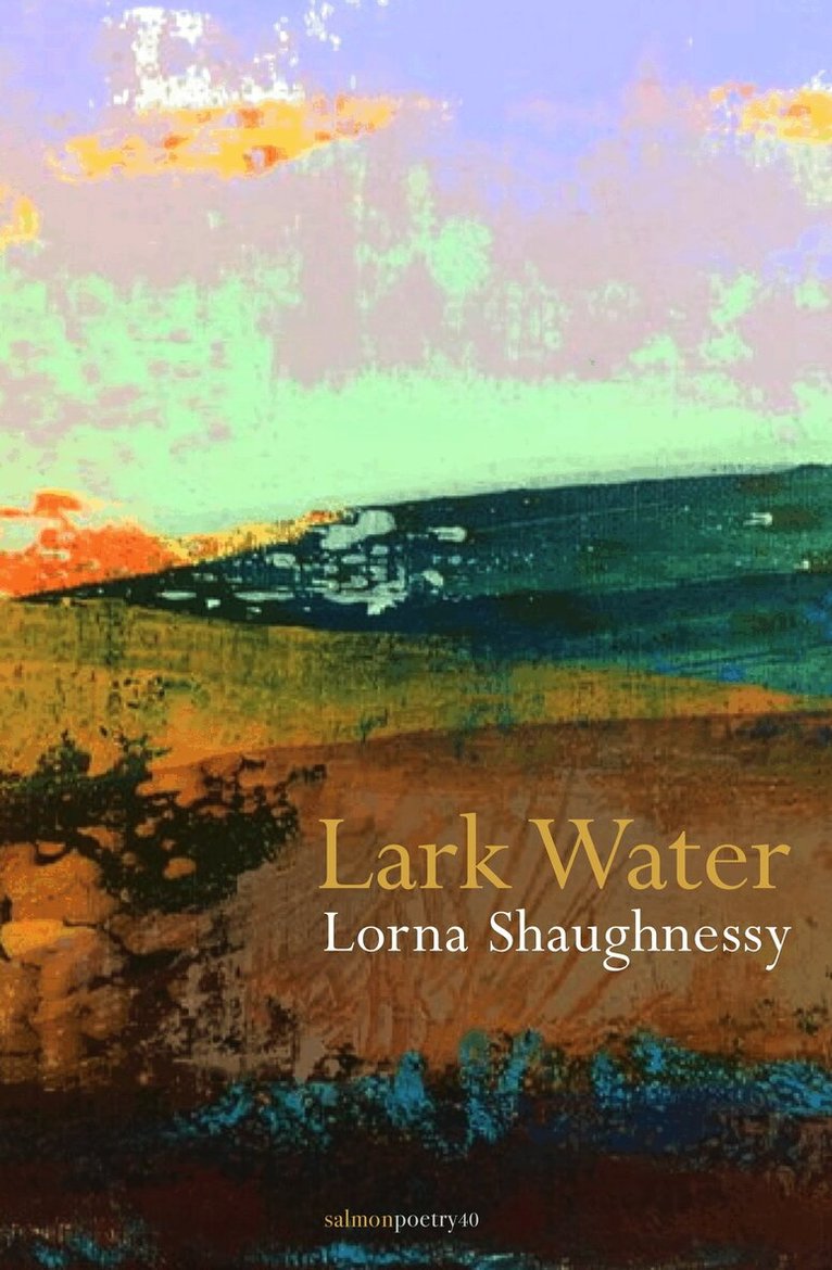 Lorna Shaughnessy - Lark Water, Häftad